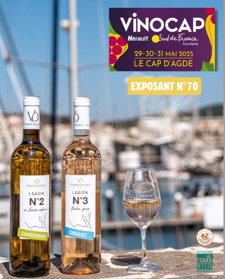 Vinocap 2025